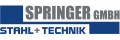 Springer GmbH