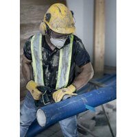 Bosch Säbelsägeblatt Expert Cement Cast Iron T 308 BP Länge 250 mm Breite 19 mm S-Schaft 1 Stück / Karte