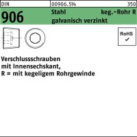 Verschlußschraube DIN 906 Innen-6kt R 1 Stahl...