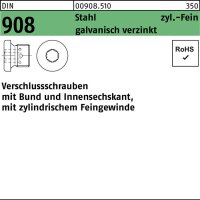 Verschlußschraube DIN 908 Bund/Innen-6kt M22x1,5 Stahl galv.verz. 25St.