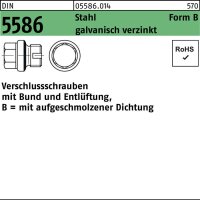 Verschlußschraube DIN 5586 FormB BG 3/4 A +...