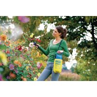 Gloria Drucksprühgerät Prima 3 Füllinhalt 3 l 3 bar Perbunan (NBR) Gewicht 1,24 kg