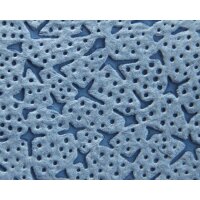 Wipex Putztuch WIPEX STAR L.ca.360 mmxB.ca.380 mm blau 1-lagig