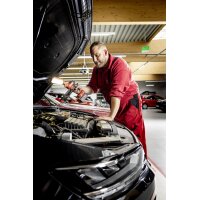 Flex WL 1000 18.0 Akku Lampe