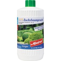 Buchsbaum-/Ilex-Dünger Buchsbaumpracht Liquid 1l Flasche MAIROL