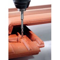 Dachziegelbohrer  ALPEN