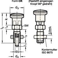 Rastbolzen GN 817 GANTER