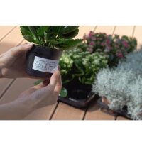 Herma Folienetikett HERMA SPECIAL 105 x 148 mm (B x H)...
