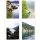 Herma Fotohülle HERMA Fotophan 10 x 15 cm (B x H) Polypropylen 10 St./Pack.