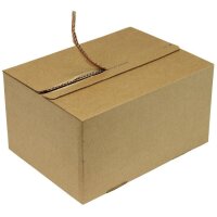 Transpak Automatikkarton 1-wellig Automatikboden Maße 310x230x81-160mm SK Qualtität 1.3B braun A4 braun