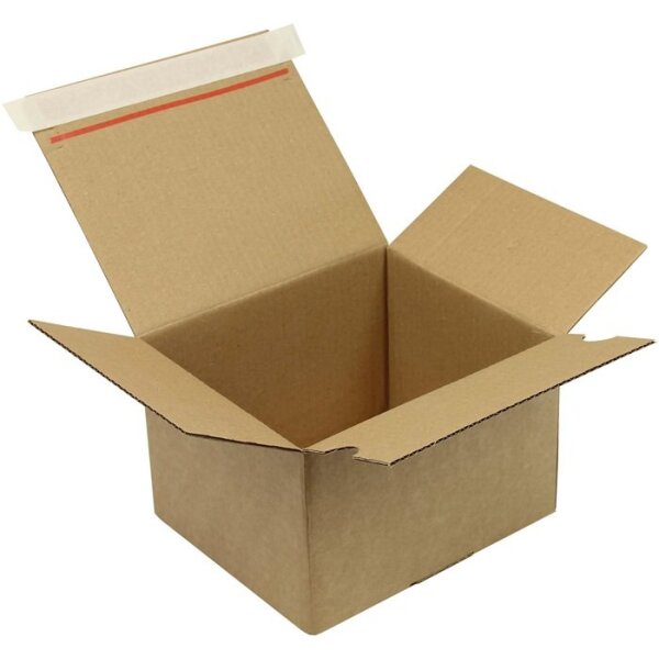 Transpak Automatikkarton 1-wellig Automatikboden Maße 210x180x130mm SK Qualtität 1.3B braun braun
