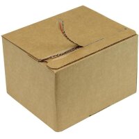 Transpak Automatikkarton 1-wellig Automatikboden Maße 210x180x130mm SK Qualtität 1.3B braun braun