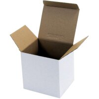 Faltkarton 1-wellig Automatikboden TRANSPAK