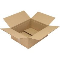 Transpak Faltkarton 1-wellig Maße 400x330x160mm...