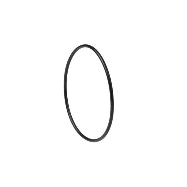 Dichtomatik O-Ring OR67-2.5 Innen-Ø 67 mm