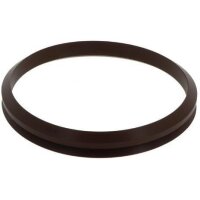 Dichtomatik V-Ring V100 S VIT 0,03 kg