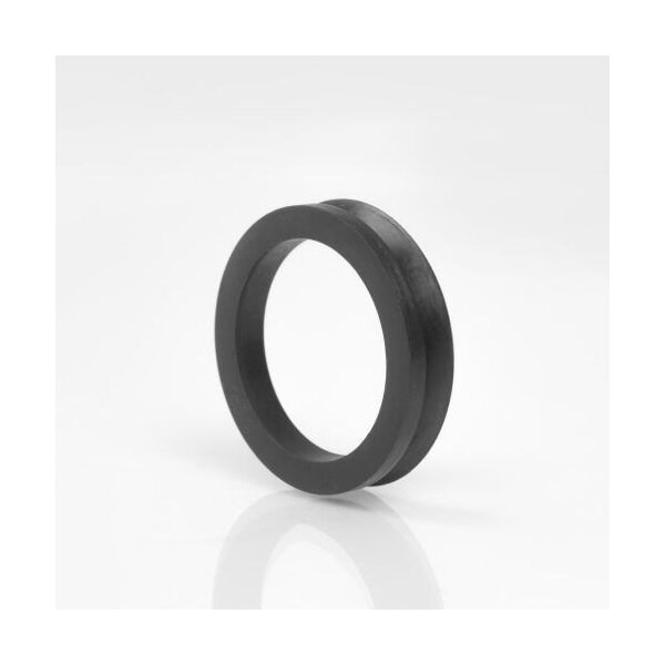 Dichtomatik V-Ring V110 A 0,019 kg