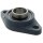 Skf Flanschlager-Gehäuseeinheit FYTB17 TF 17 mm oval