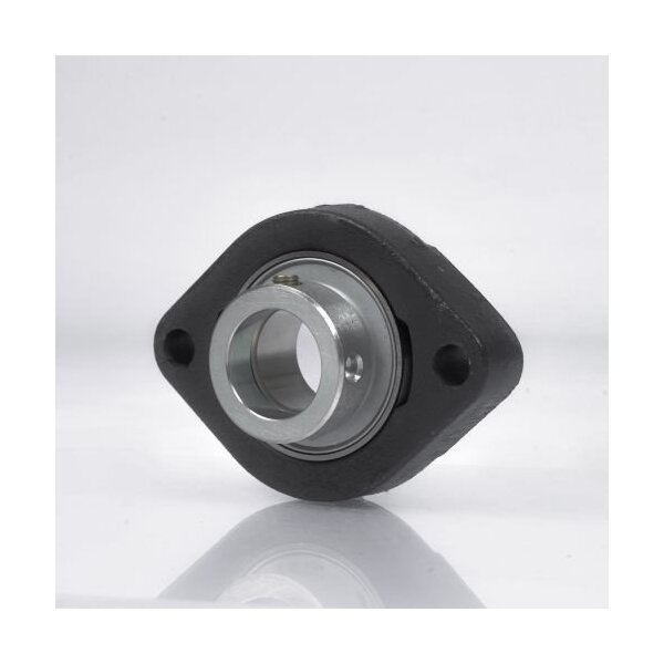 Ntn Flanschlager-Gehäuseeinheit UKFL213 D1 65 mm Außen-Ø 120 mm Breite 40 mm oval