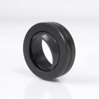 Ina Schräg-Gelenklager GE25 SW 25 mm...
