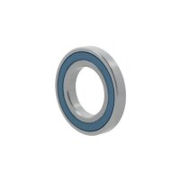 Nachi Rillenkugellager 6901 -2NKE Innen-Ø 12 mm...