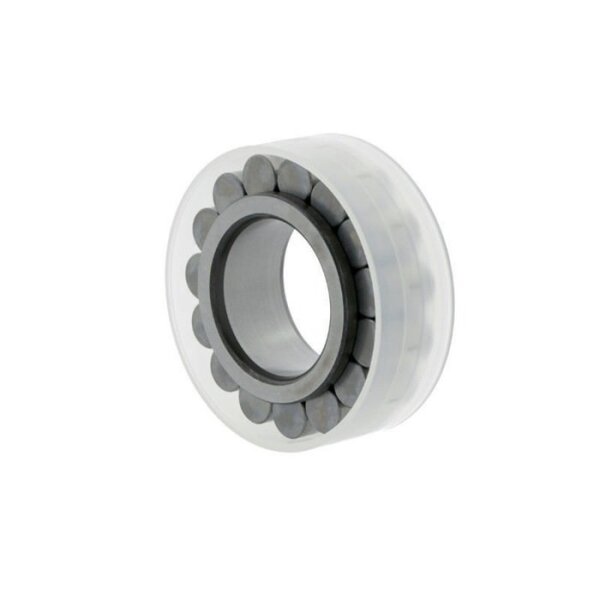 Ina Zylinderrollenlager RSL182213 Innen-Ø 65 mm Außen-Ø 106,25 mm Breite31 mm