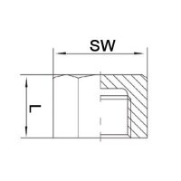 Springer Kappe EN 10226-1 NPS=1 ″ 326, 8-kant L 22 mm