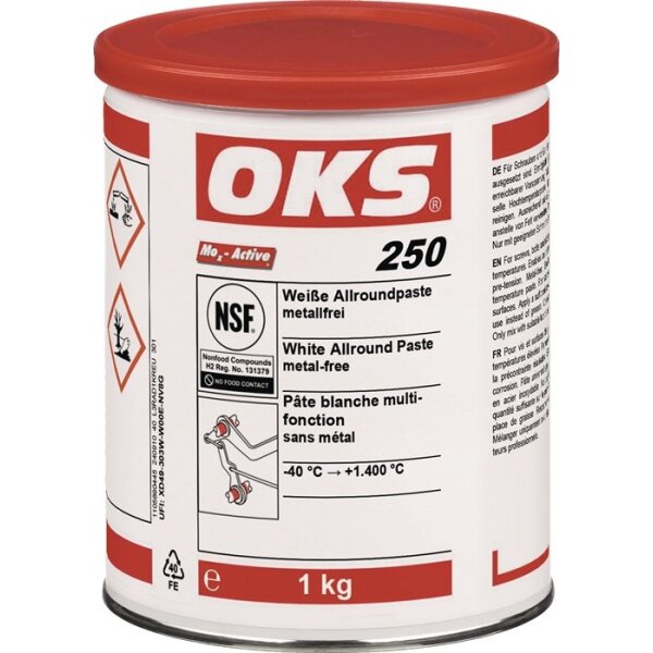 Oks Allroundpaste OKS 250 weiß 1 kg Dose