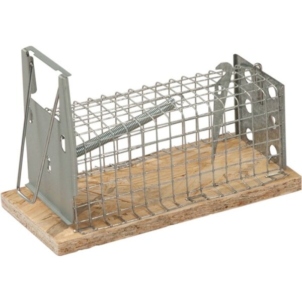 Freund victoria Drahtkäfig-Mausefalle Lebendfalle 95 x 50 mm
