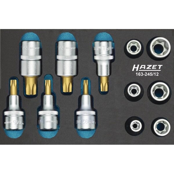 Hazet Werkzeugmodul 163-245/12 12-teilig
