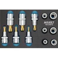 Hazet Werkzeugmodul 163-245/12 12-teilig